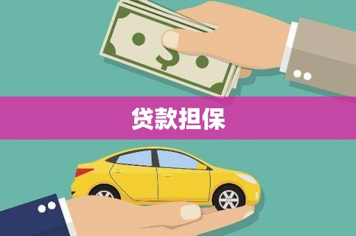 卓尼贷款担保