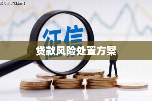 卓尼贷款风险处置方案