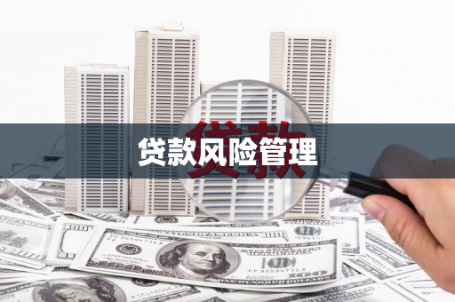 卓尼贷款风险管理