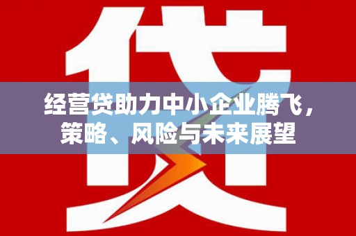卓尼经营贷助力中小企业腾飞，策略、风险与未来展望