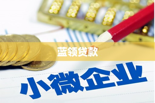 卓尼蓝领贷款