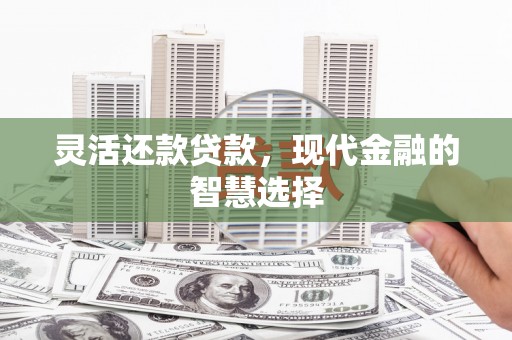 卓尼灵活还款贷款，现代金融的智慧选择