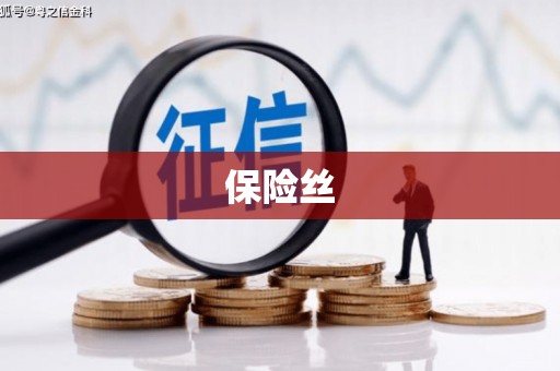 卓尼保险丝