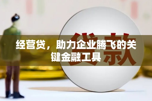 卓尼经营贷，助力企业腾飞的关键金融工具