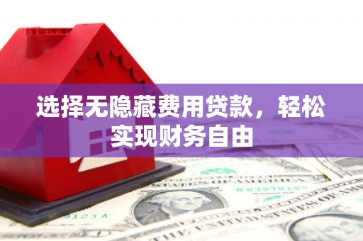 卓尼选择无隐藏费用贷款，轻松实现财务自由