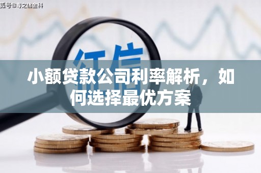 卓尼小额贷款公司利率解析，如何选择最优方案