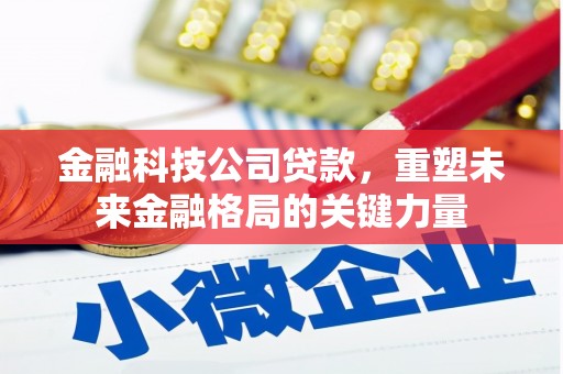 卓尼金融科技公司贷款，重塑未来金融格局的关键力量