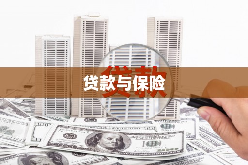 卓尼贷款与保险