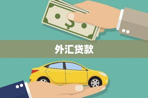 卓尼外汇贷款