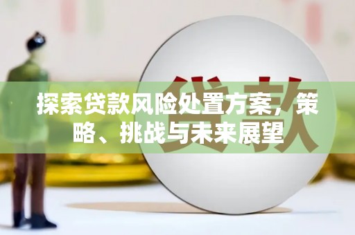 卓尼探索贷款风险处置方案，策略、挑战与未来展望