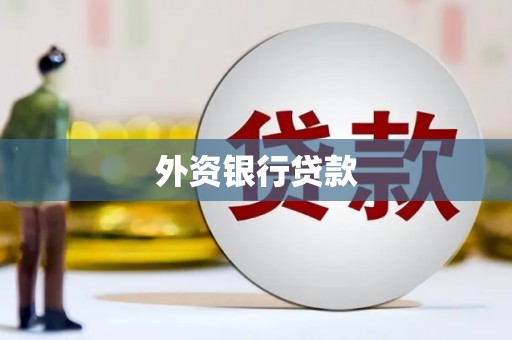 卓尼外资银行贷款