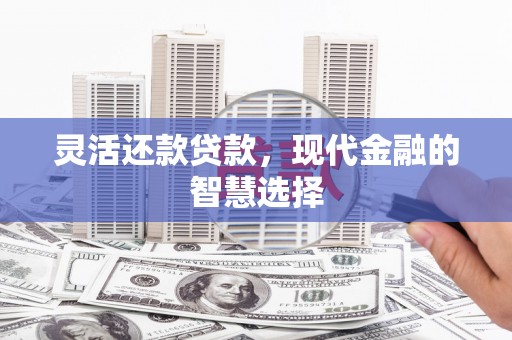 卓尼灵活还款贷款，现代金融的智慧选择
