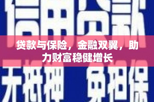 卓尼贷款与保险，金融双翼，助力财富稳健增长