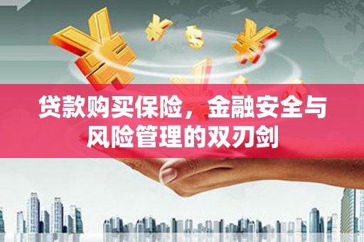 卓尼贷款购买保险，金融安全与风险管理的双刃剑