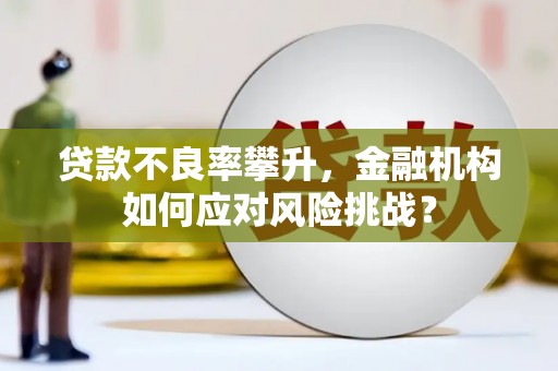 卓尼贷款不良率攀升，金融机构如何应对风险挑战？