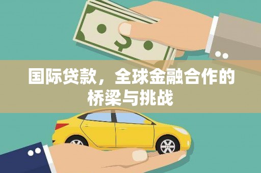 卓尼国际贷款，全球金融合作的桥梁与挑战