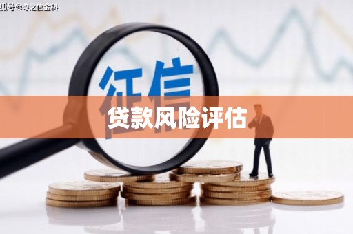 卓尼贷款风险评估