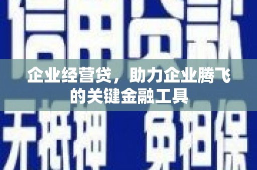 卓尼企业经营贷，助力企业腾飞的关键金融工具