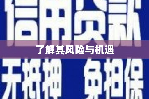 卓尼了解其风险与机遇