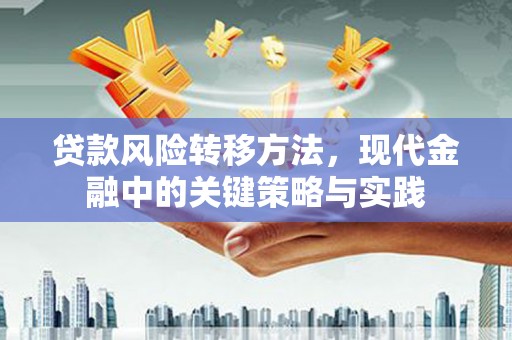 卓尼贷款风险转移方法，现代金融中的关键策略与实践