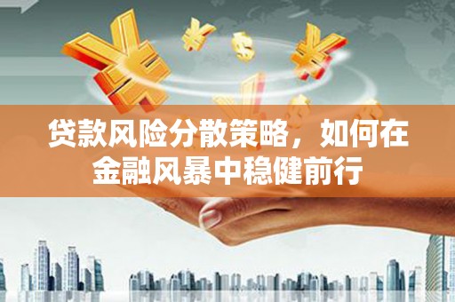 卓尼贷款风险分散策略，如何在金融风暴中稳健前行
