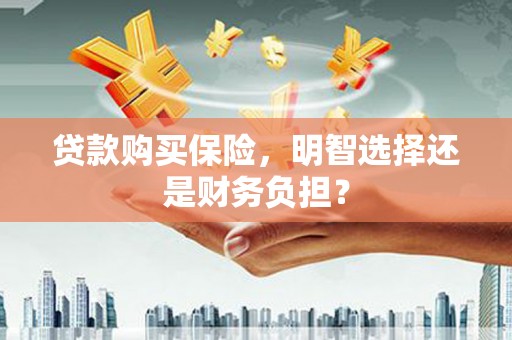 卓尼贷款购买保险，明智选择还是财务负担？