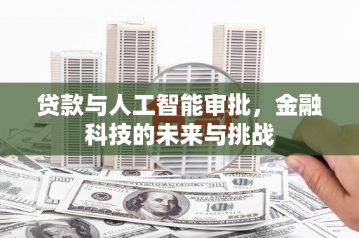 卓尼贷款与人工智能审批，金融科技的未来与挑战