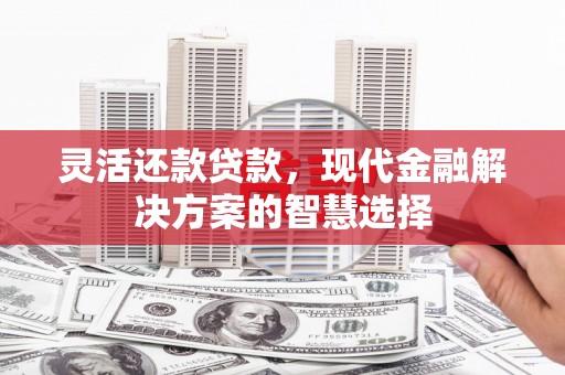 卓尼灵活还款贷款，现代金融解决方案的智慧选择