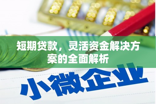 卓尼短期贷款，灵活资金解决方案的全面解析
