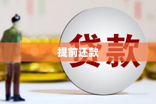 卓尼提前还款