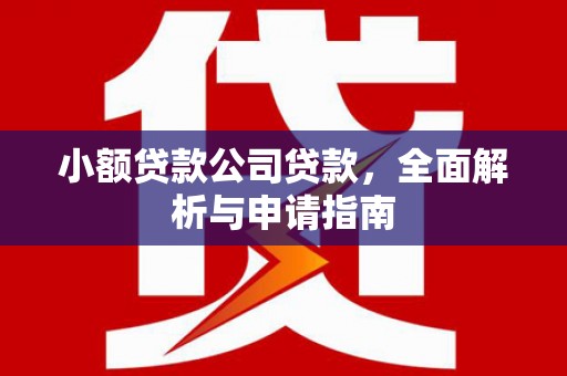 卓尼小额贷款公司贷款，全面解析与申请指南