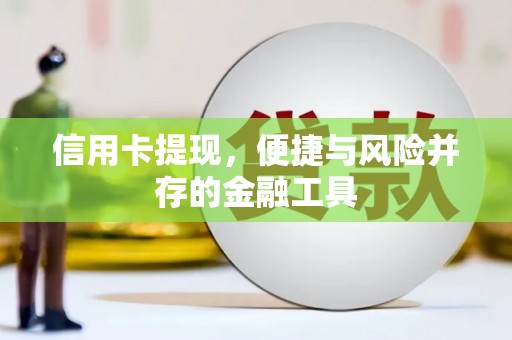 卓尼信用卡提现，便捷与风险并存的金融工具