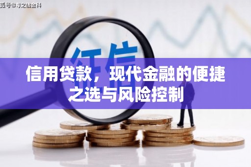 卓尼信用贷款，现代金融的便捷之选与风险控制