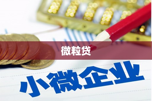 卓尼微粒贷