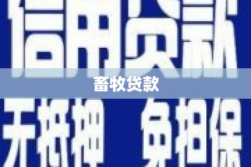 卓尼畜牧贷款