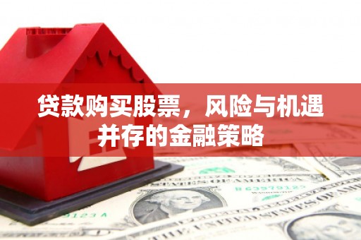 卓尼贷款购买股票，风险与机遇并存的金融策略