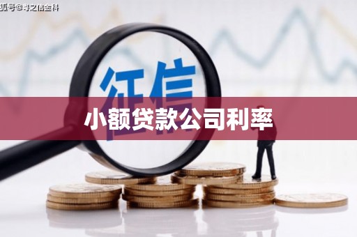 卓尼小额贷款公司利率