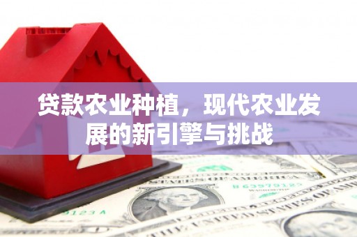 卓尼贷款农业种植，现代农业发展的新引擎与挑战