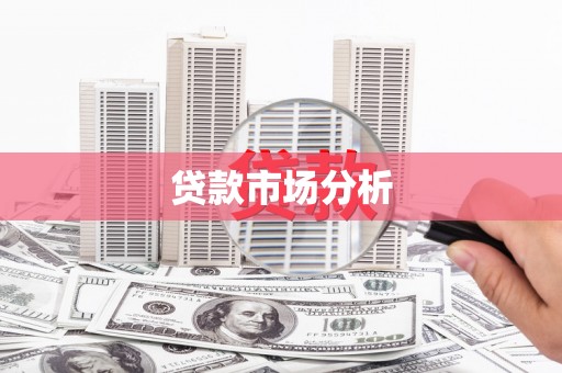 卓尼贷款市场分析