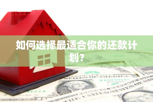 卓尼如何选择最适合你的还款计划？