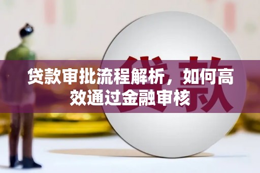 卓尼贷款审批流程解析，如何高效通过金融审核