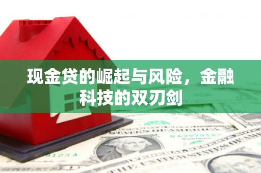 卓尼现金贷的崛起与风险，金融科技的双刃剑