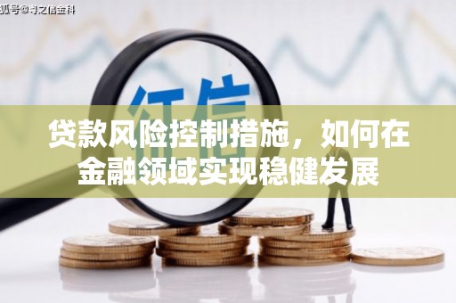 卓尼贷款风险控制措施，如何在金融领域实现稳健发展