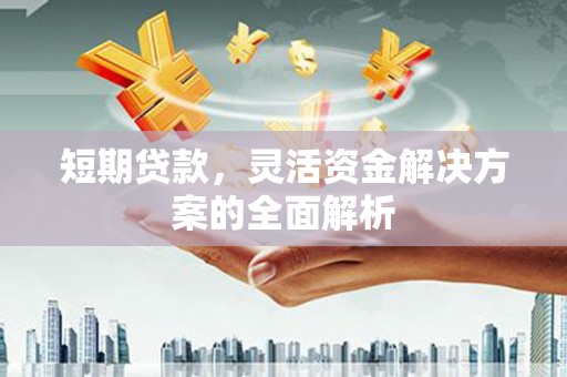 卓尼短期贷款，灵活资金解决方案的全面解析