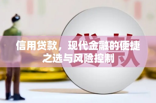 卓尼信用贷款，现代金融的便捷之选与风险控制