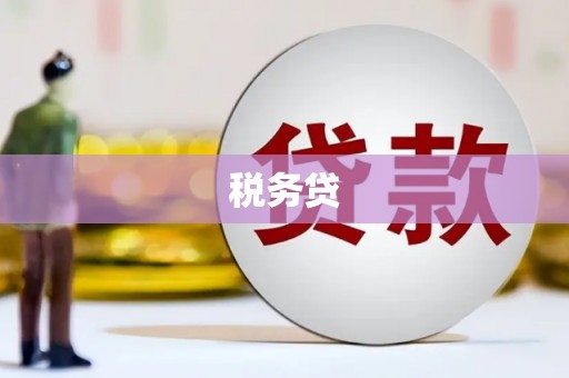 卓尼税务贷
