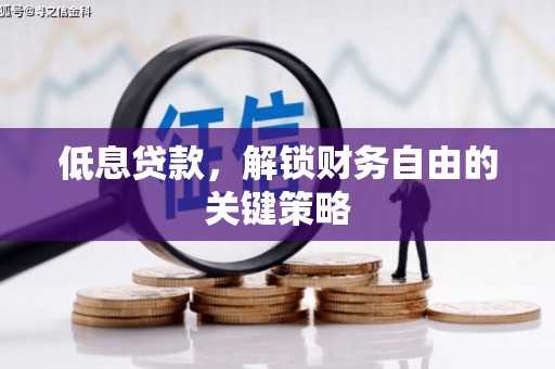 卓尼低息贷款，解锁财务自由的关键策略