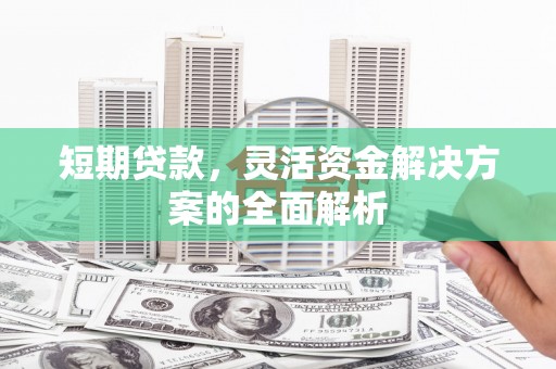 卓尼短期贷款，灵活资金解决方案的全面解析