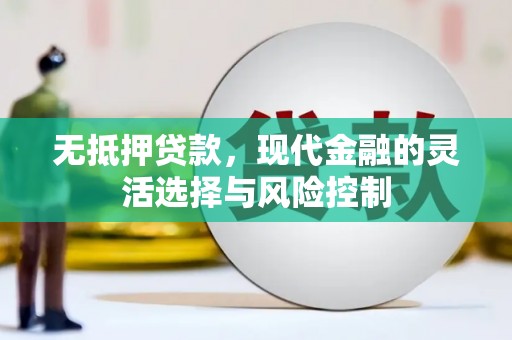 卓尼无抵押贷款，现代金融的灵活选择与风险控制