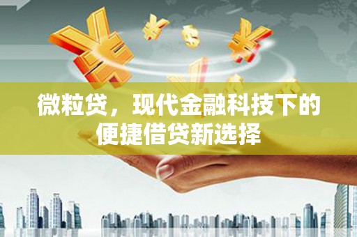 卓尼微粒贷，现代金融科技下的便捷借贷新选择